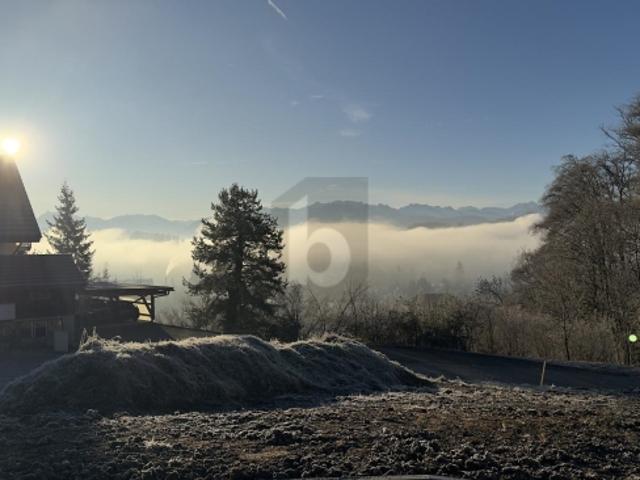 Grundstück kaufen in Laupen (ZH), Zürich