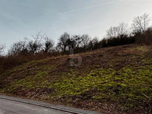 Erdgeschosswohnung kaufen in Welschbillig, Rheinland-Pfalz