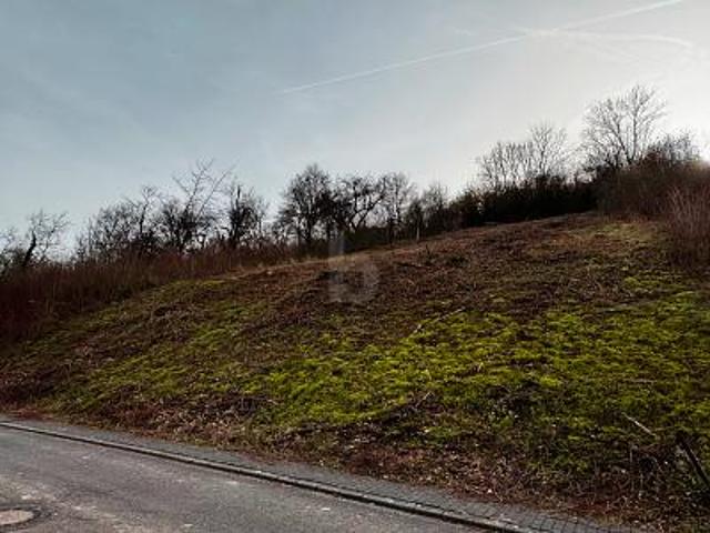 Erdgeschosswohnung mieten in Welschbillig, Rheinland-Pfalz