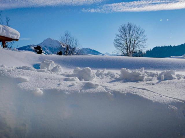 Apartment mieten in Going am Wilden Kaiser, Tirol