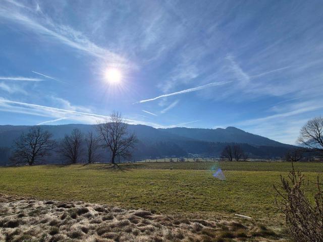 Immobilie kaufen in Itter, Tirol