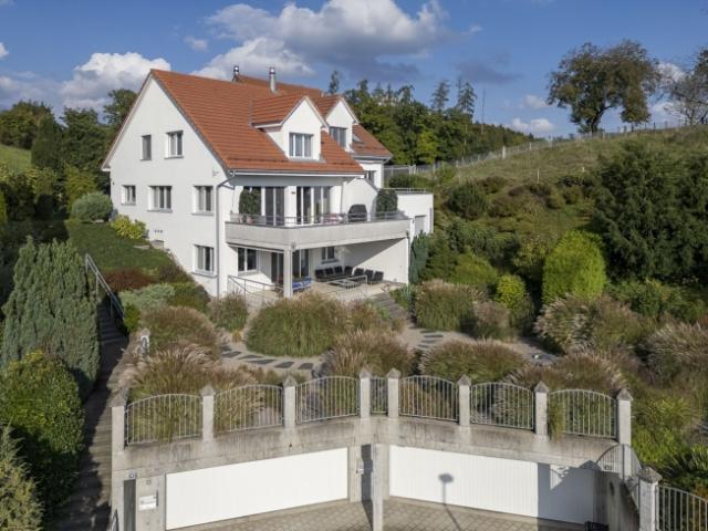 Einfamilienhaus kaufen in Birmensdorf (ZH), Zürich