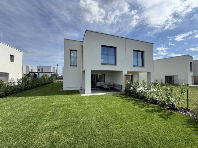 Haus kaufen in Sankt Johann, Grafenwörth