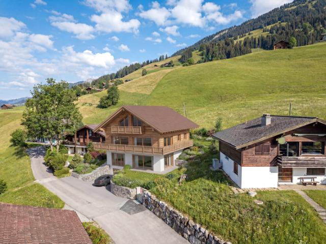 Immobilie kaufen in Lenk Im Simmental, Bern