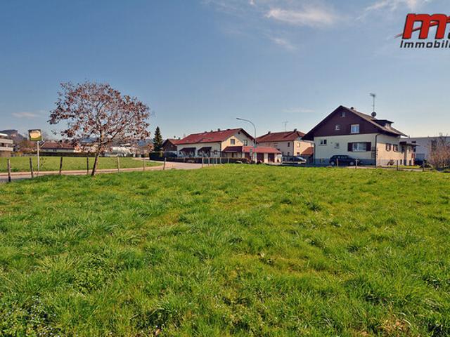 Grundstück kaufen in Hard, Vorarlberg