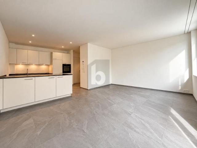 Wohnung mieten in Schinznach, Bezirk Brugg