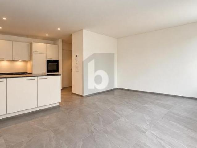 Apartment mieten in Oberflachs, Schinznach