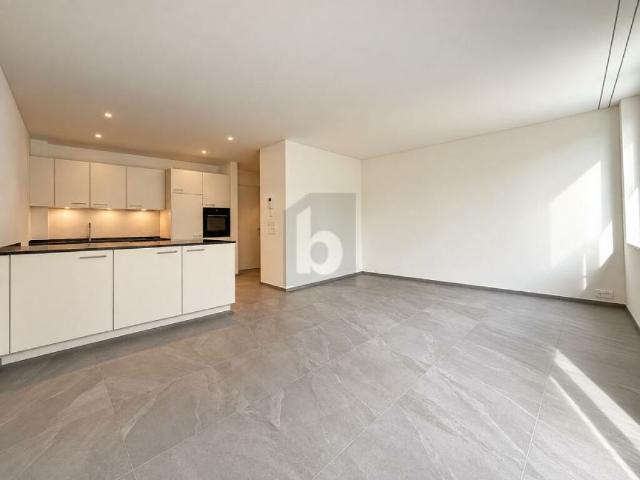 Wohnung mieten in Oberflachs, Schinznach