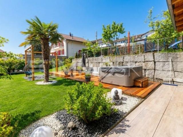 Einfamilienhaus kaufen in Menziken, Aargau