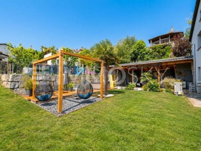 Einfamilienhaus kaufen in Menziken, Aargau