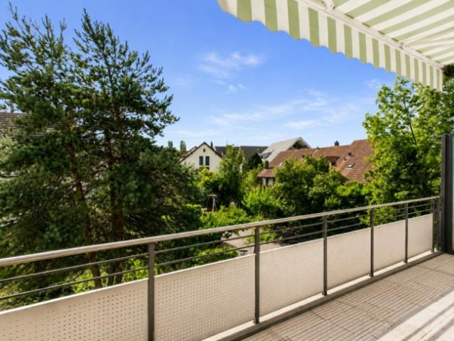 Wohnung kaufen in Greifensee, Zürich