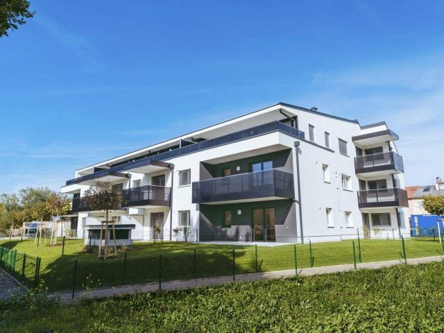 Apartment mieten in Oberndorf bei Salzburg, Salzburg