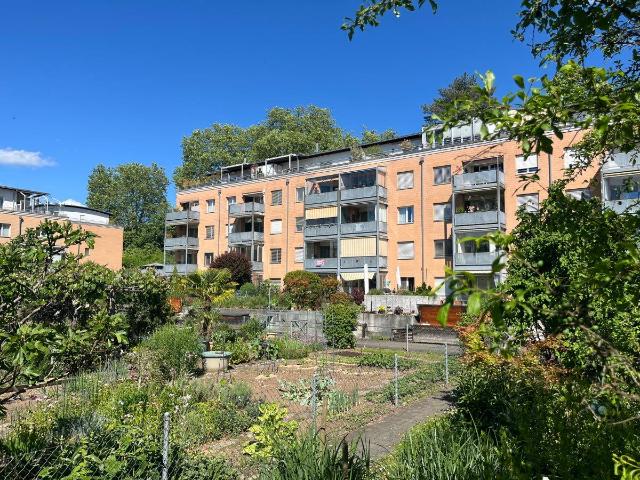 Wohnung kaufen in Rheinfelden, Aargau