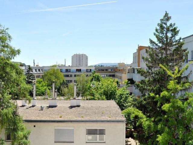 Apartment kaufen in Wien