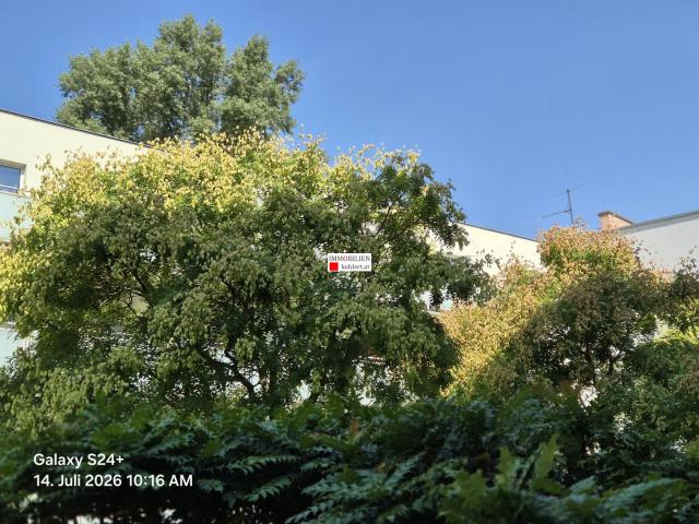 Apartment mieten in Döbling, Wien