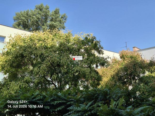 Apartment mieten in Döbling, Wien