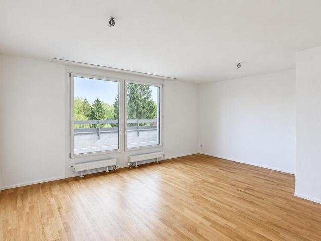 Apartment mieten in Kleinbasel, Basel
