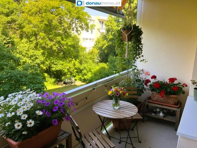 Wohnung kaufen in Biedermannsdorf, Niederösterreich