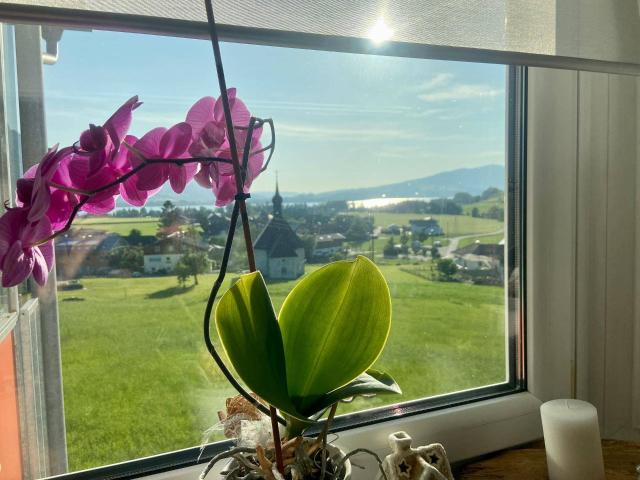 Apartment kaufen in Innerschwand Apartment kaufen in Innerschwand