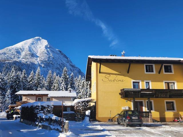 Apartment kaufen in Leutasch, Tirol