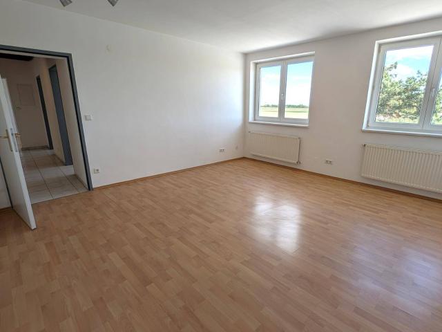 Apartment mieten in Asparn, Langenrohr
