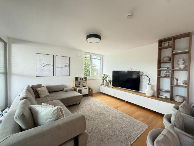 Apartment mieten in Höchst, Vorarlberg