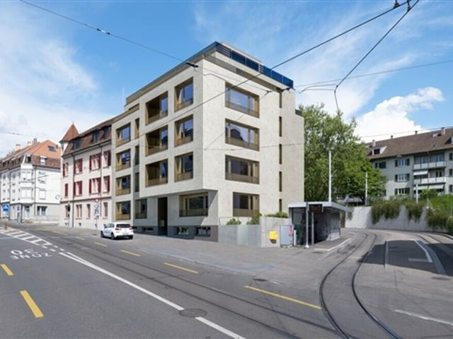 Attikawohnung kaufen in Riehen, Basel-Stadt