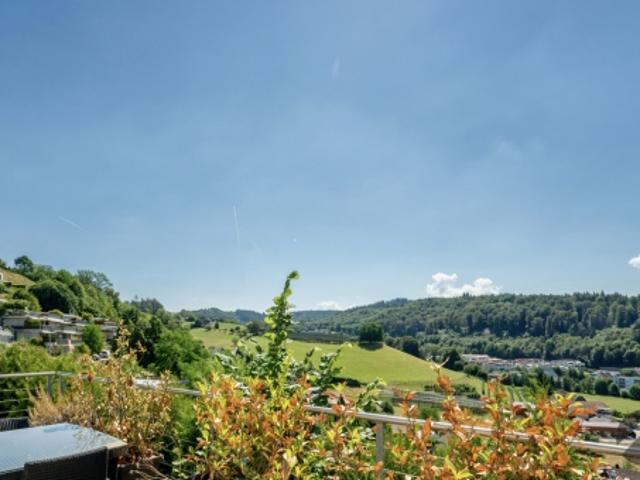 Einfamilienhaus kaufen in Oftringen, Aargau