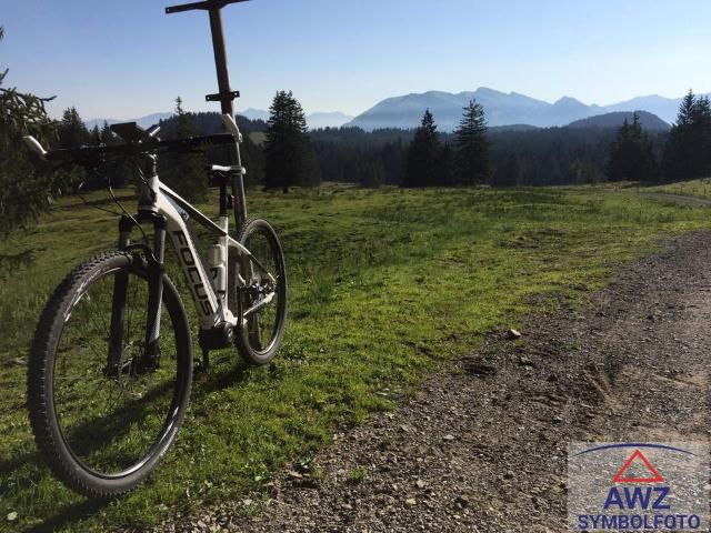 Wohnung kaufen in Zell, Kärnten