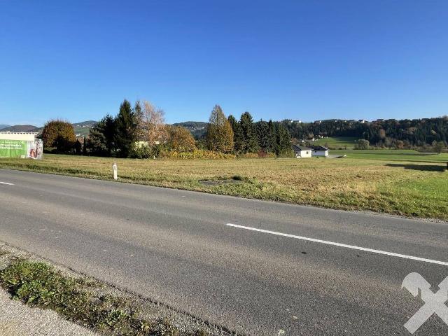 Immobilie kaufen in Stallhofen, Steiermark