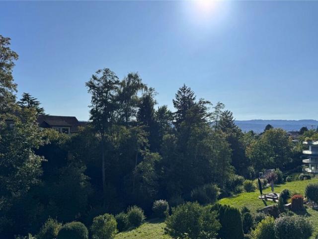 Wohnung kaufen in Obermeilen, Meilen