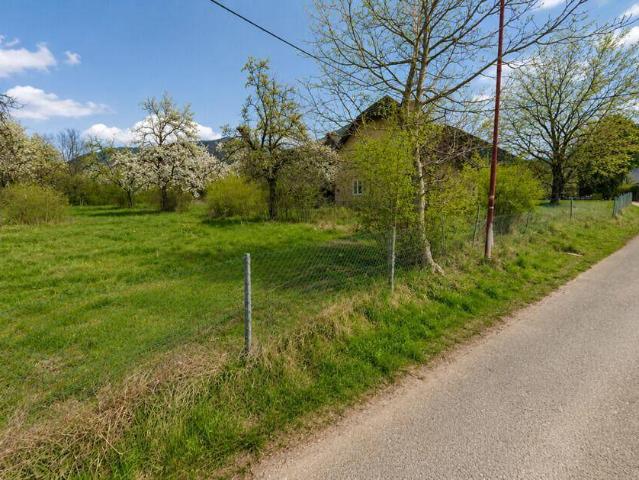 Immobilie kaufen in Feistritz im Rosental, Kärnten