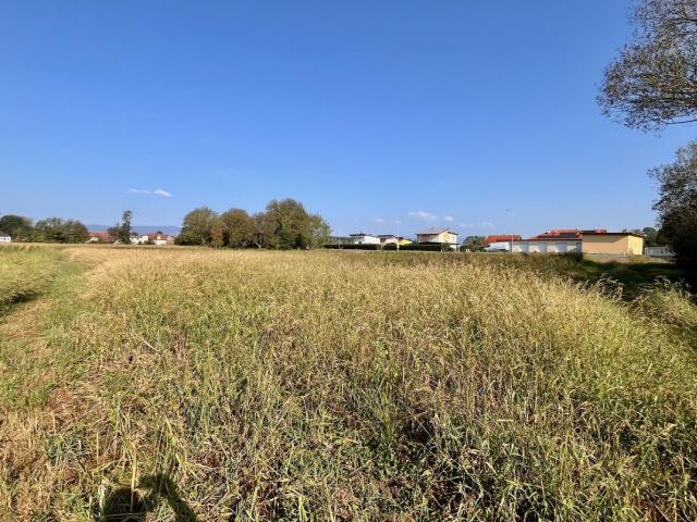 Grundstück kaufen in Markt Allhau, Burgenland