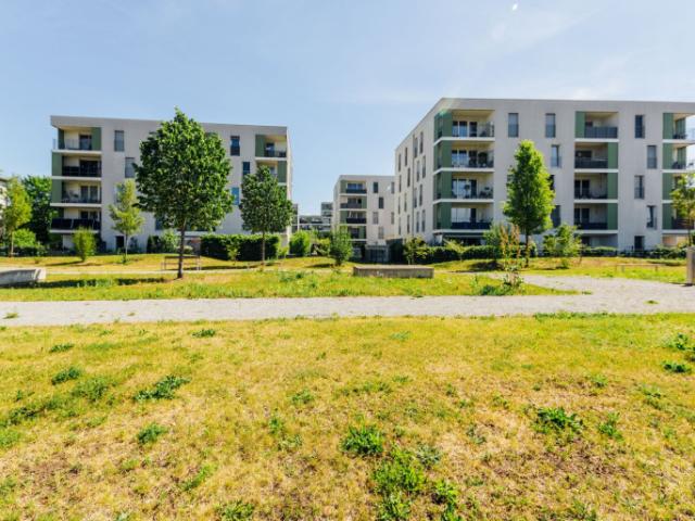 Wohnung kaufen in Liebenau, Gersdorf-Feistritz