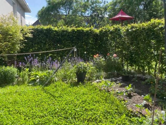 Apartment mieten in Absam, Tirol