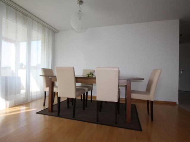 Apartment mieten in Diepoldsau, Wahlkreis Rheintal