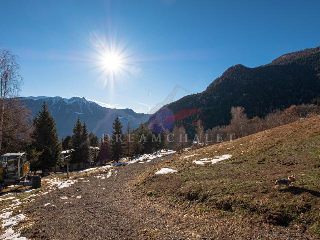 Immobilie kaufen in Dugny, Leytron, Wallis