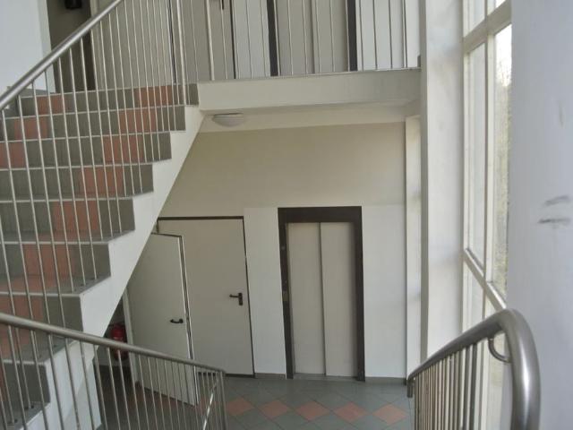 Apartment mieten in Katastralgemeinde Ebreichsdorf, Ebreichsdorf