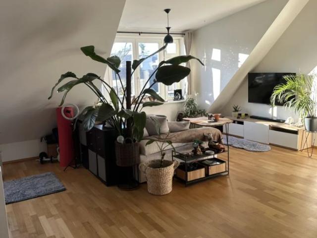 Apartment mieten in Schöffelstadt, Mödling