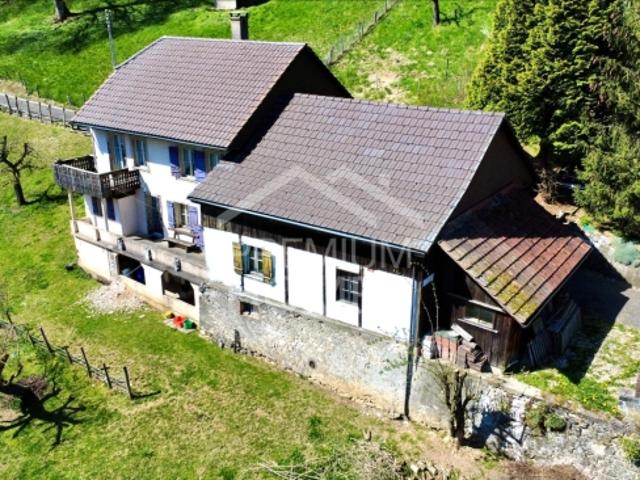 Einfamilienhaus kaufen in Niederbipp, Bern