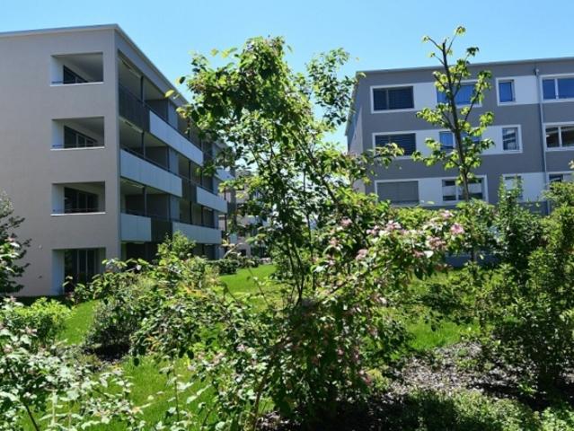 Wohnung mieten in Lindenacker, Eschlikon