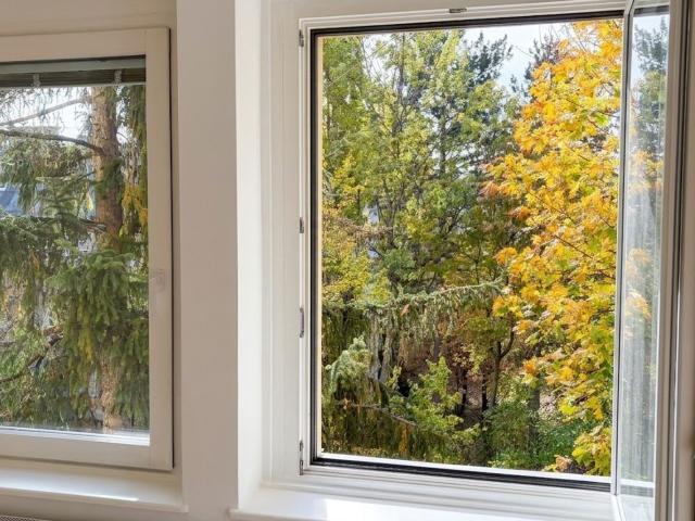 Wohnung kaufen in Seestadt, Wien