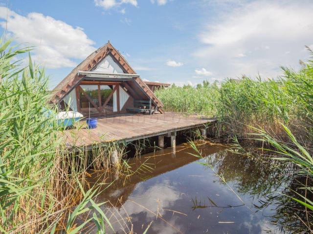 Haus kaufen in Rust