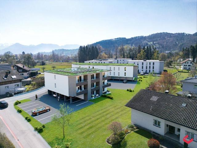 Apartment kaufen in Höchst