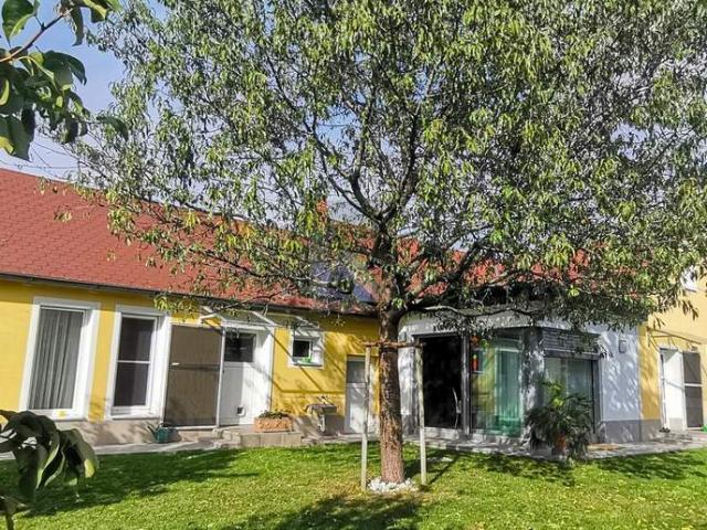 Haus kaufen in Neusiedl bei Güssing, Kukmirn