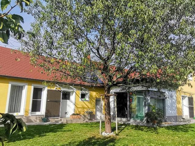 Haus kaufen in Kittsee, Burgenland