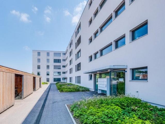 Apartment mieten in Lenzburg, Aargau