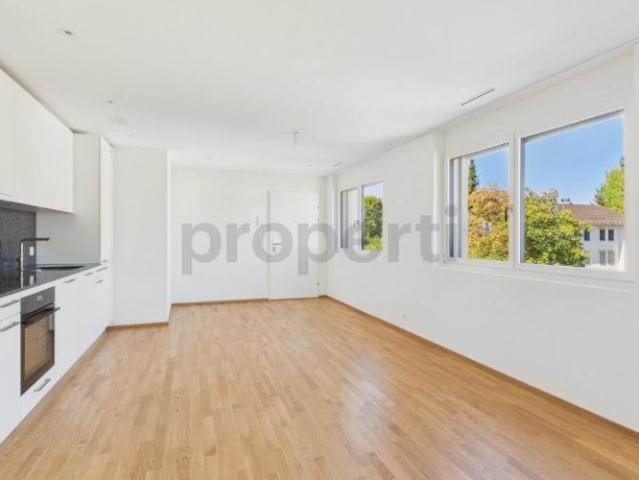 Apartment mieten in Opfikon, Zürich