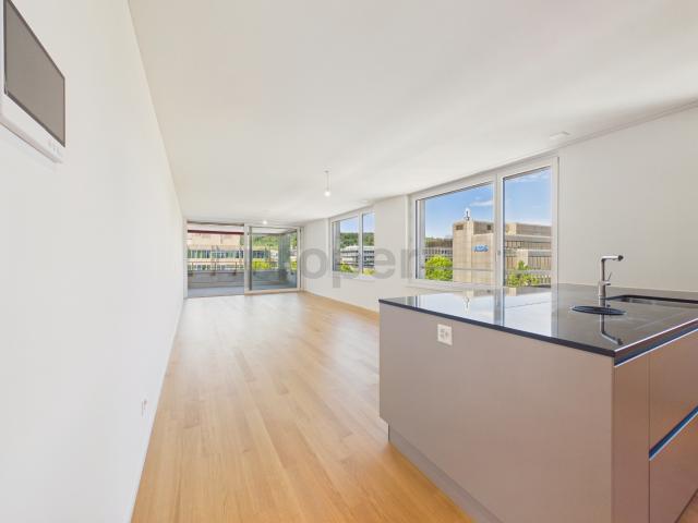 Apartment mieten in Einigen, Zürich