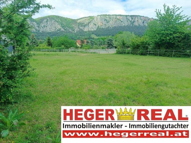 Grundstück kaufen in Hohewand, Niederösterreich